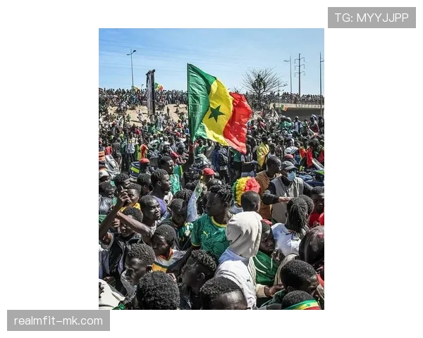 非洲杯门票抢购一空,球迷热情高涨赛事备受瞩目 非洲杯门票抢购一空,球迷热情高涨赛事备受瞩目