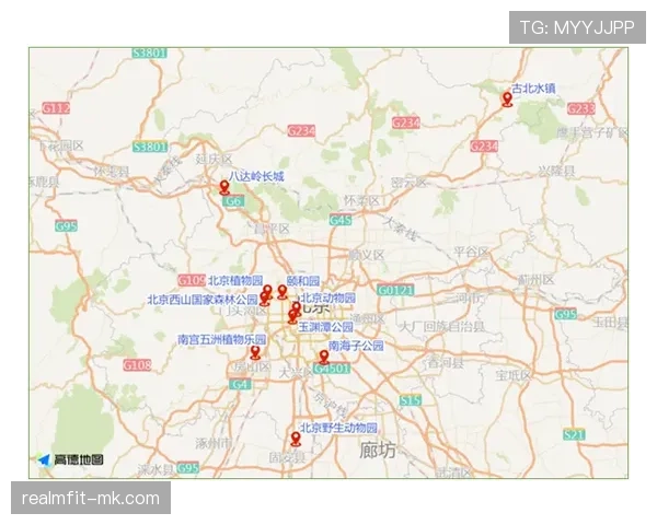 那不勒斯整体实力持续提升，本赛季竞争力增强