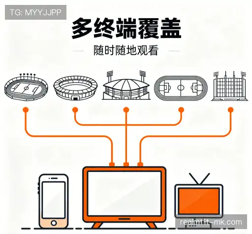 我们脱颖而出的原因
